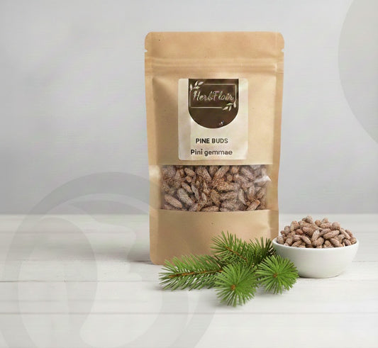 Pine Buds – Premium Dried | Pinus sylvestris