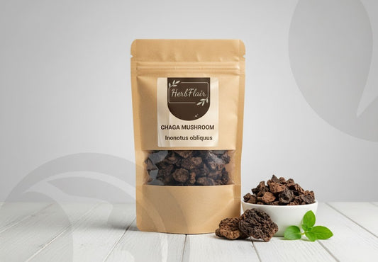 Chaga Mushroom  Premium Dried | Inonotus Obliquus