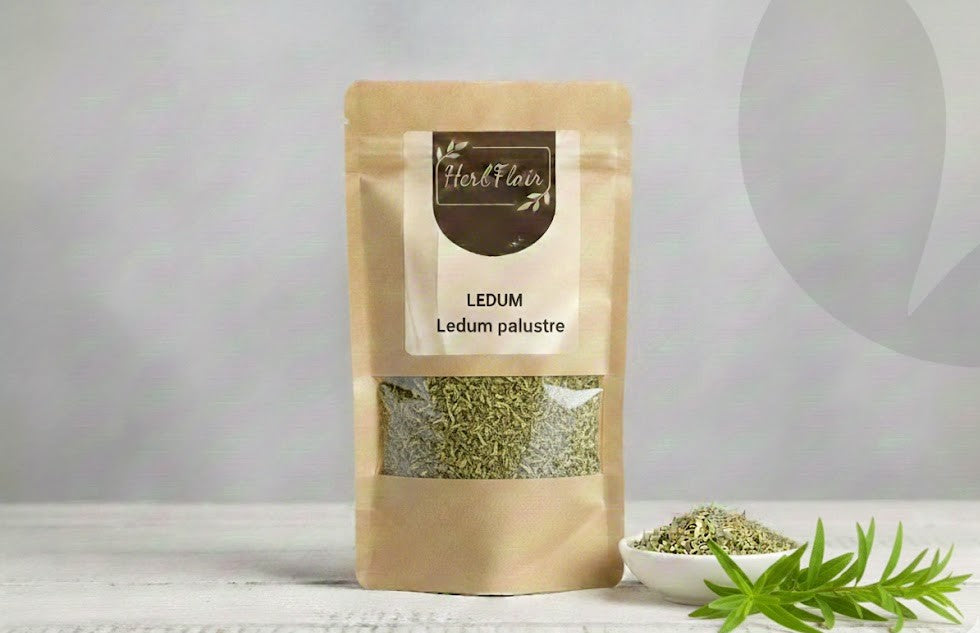 Ledum – Premium Dried | Ledum palustre