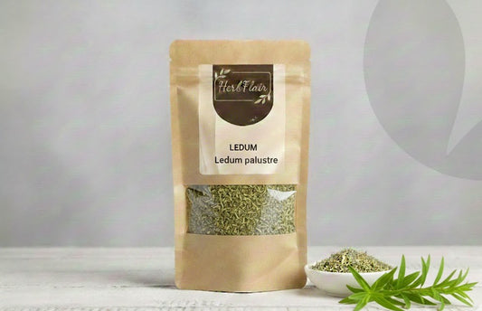 Ledum – Premium Dried | Ledum palustre
