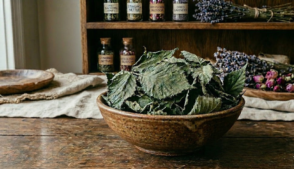 Blackberry Leaves Premium Dried | Rubus Fruticosus