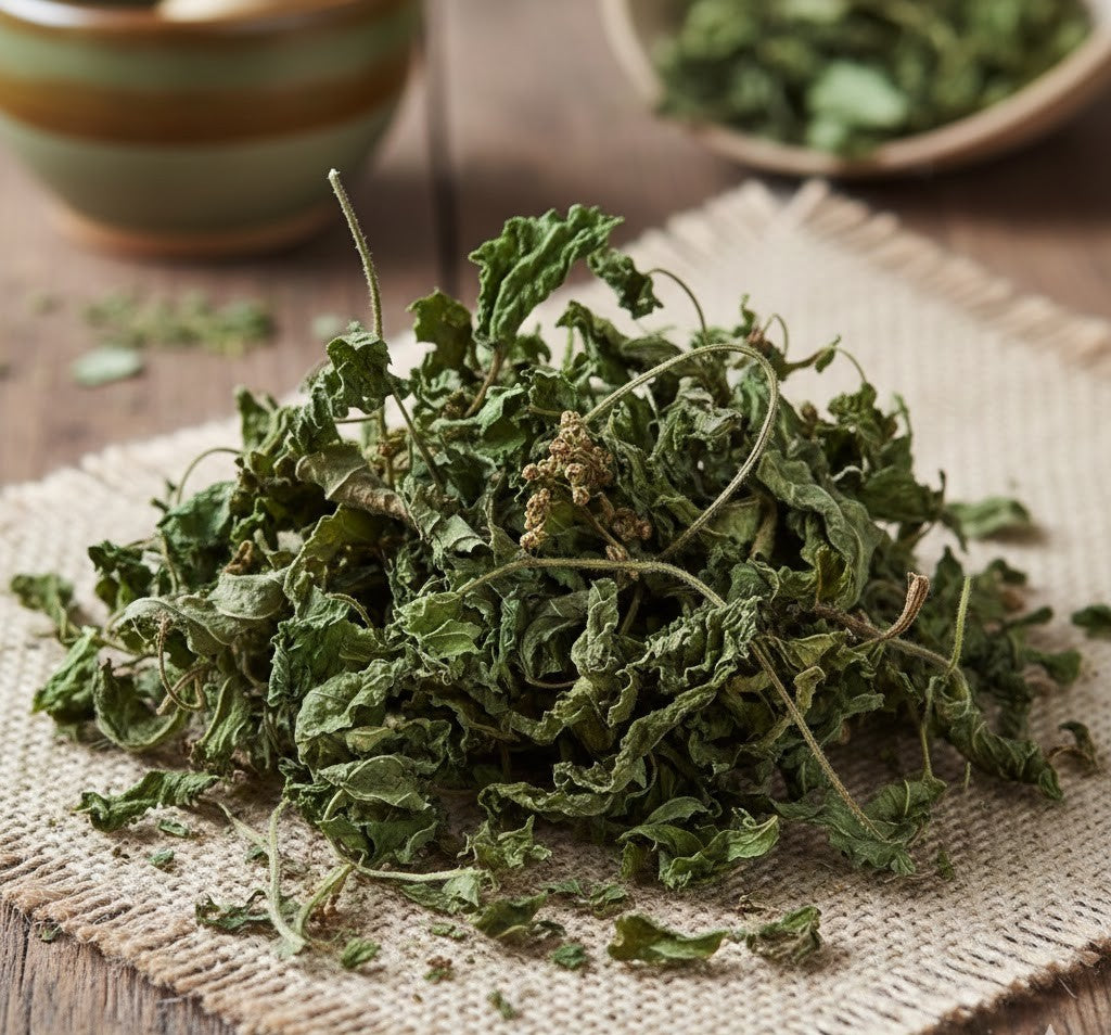 Nettle Herb Premium Dried Urtica Dioica | Organic Botanical