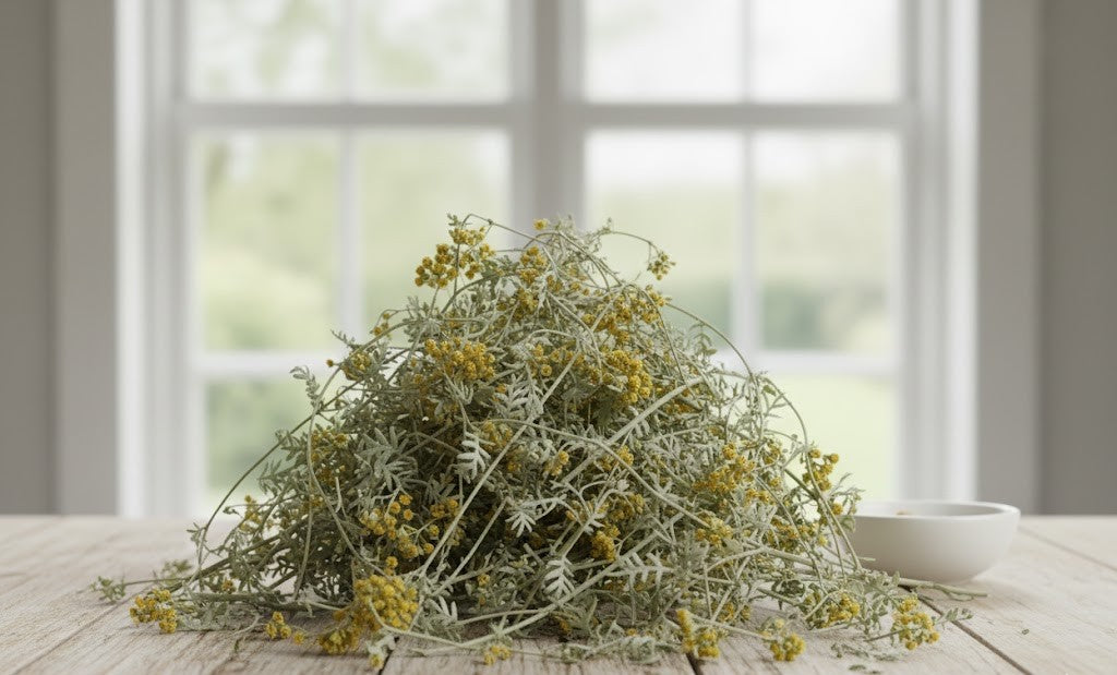 Wormwood – Premium Dried | Artemisia absinthium