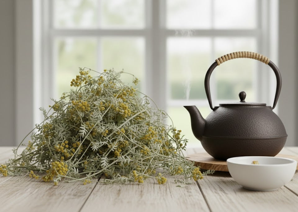 Wormwood – Premium Dried | Artemisia absinthium