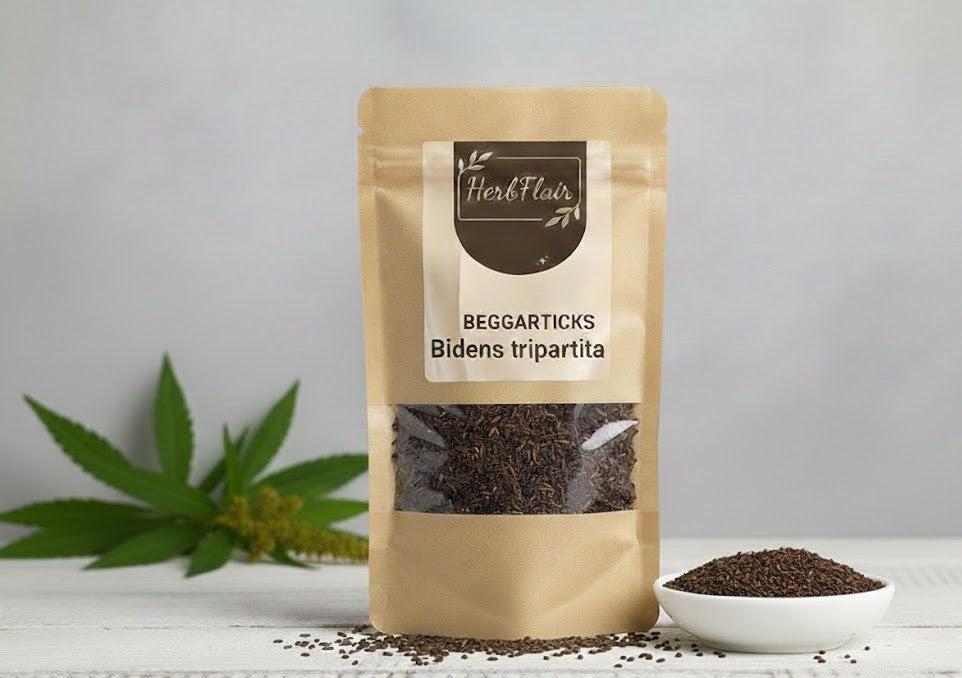 Beggarticks Premium Dried - Bidens Tripartita | Trifid Bur-marigold