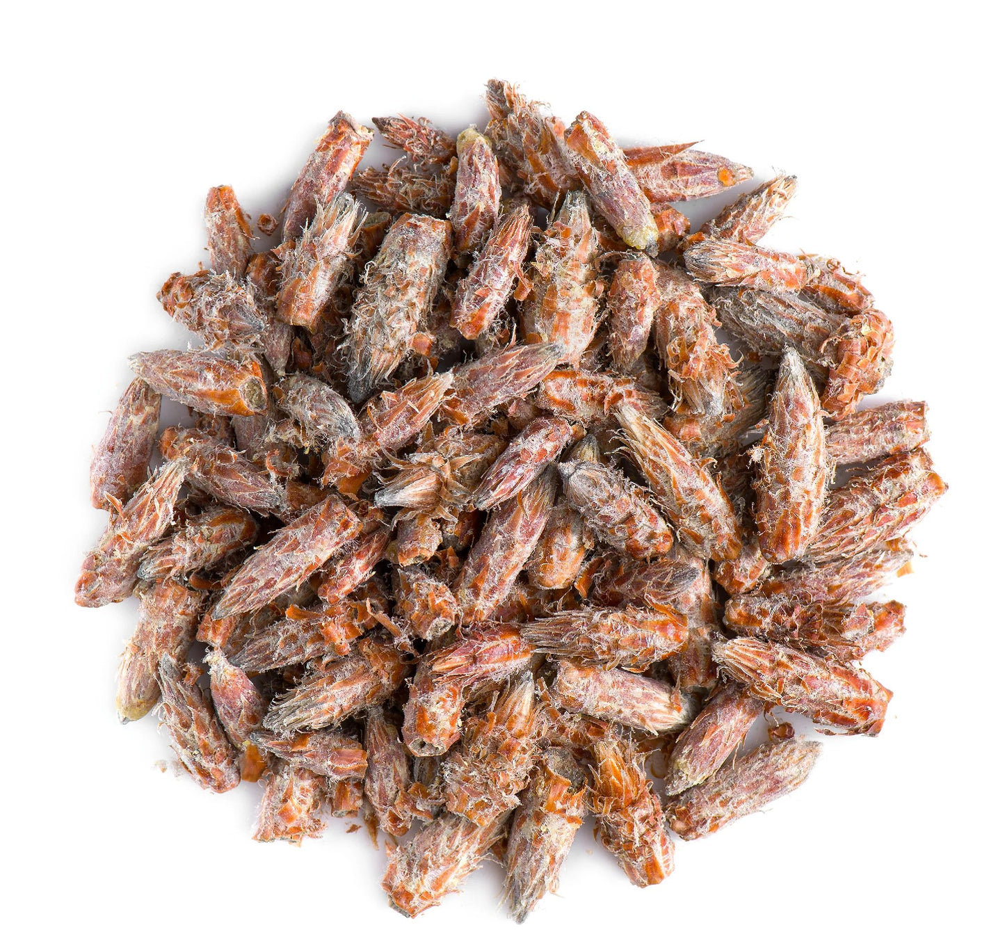 Pine Buds – Premium Dried | Pinus sylvestris